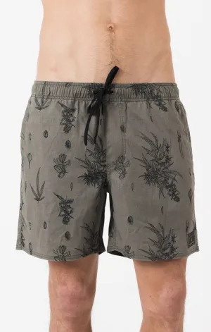 Afends Mens Baywatch - Hemp - Sativa - Swim Shorts